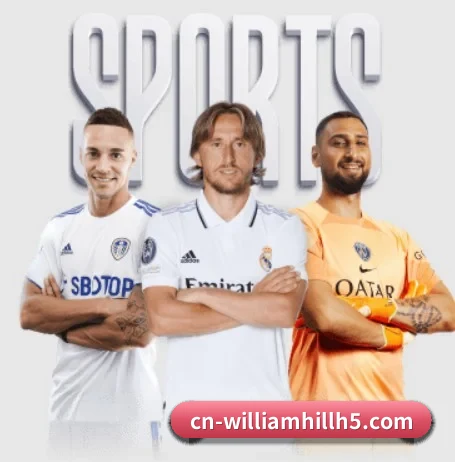 五大服务分区,信息按项目分类（williamhill）